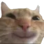 mm