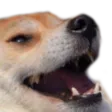 itogli