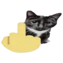 middlefingercat
