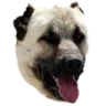 keops_svas