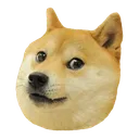 kopek
