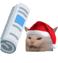 christmas_catbonk