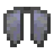 elytra