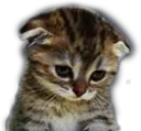 emoji_32