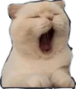 emoji_40