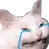 h_