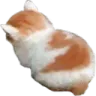 __