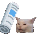 kediii