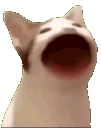 Miyav