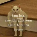 emoji_16