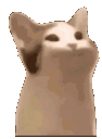 ooooo