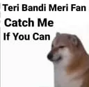 bn_teri_bandi_meri_fan