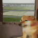 loverz_dukhi_train
