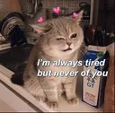 6043catwinklove
