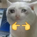 UwUkedy