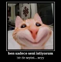 Screenshot_1