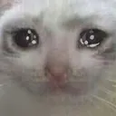 4838_despair