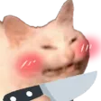 8942_knifecat