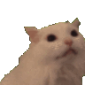 940246633352921098