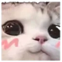 mrr
