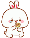 ayi