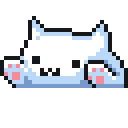 4_kedi_bongo