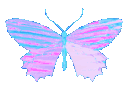 butterfly1