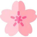 cicek