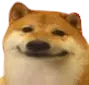 doge
