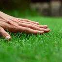S_touchgrass
