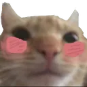 S_SwagBlush