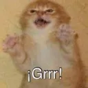 Shimei_RatGrrr