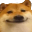 S_shibaheh