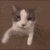kitty_kiss