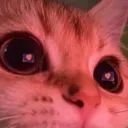emoji_14