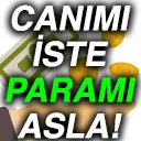 cavus