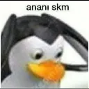 eyvah
