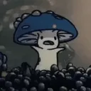 wtf