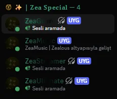 İsteğe Özel Discord Bot & Banner Şablon Hizmeti